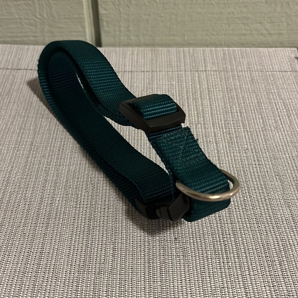 Green Dog Collar